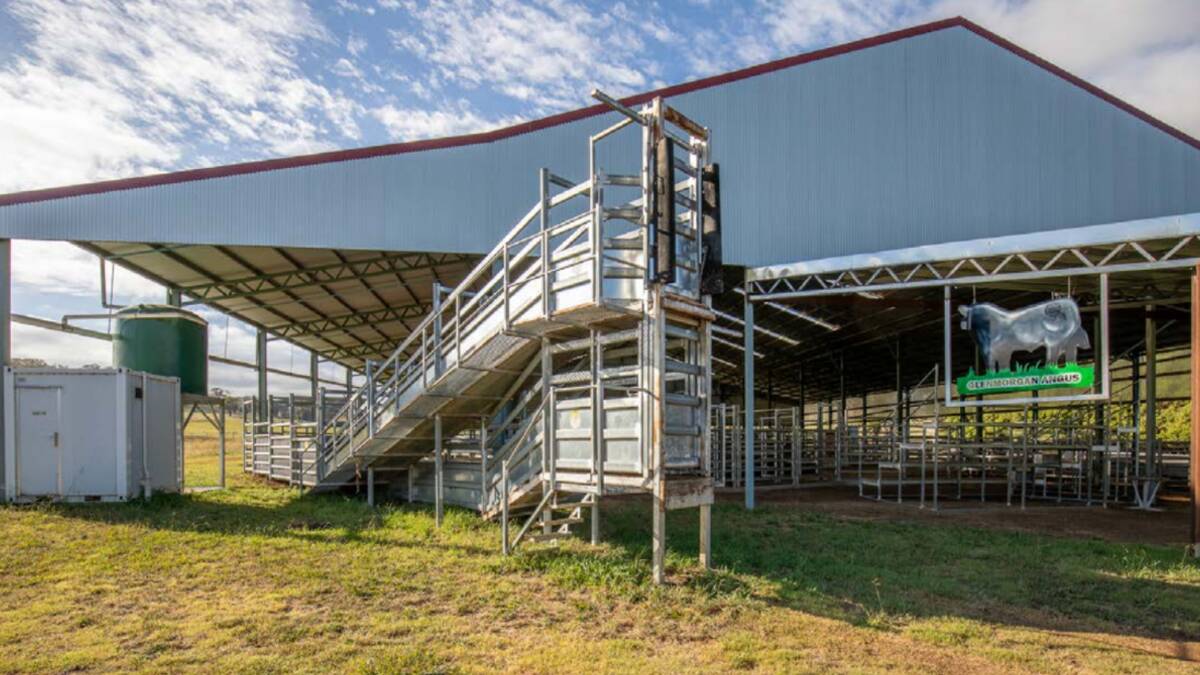 The main double bugle design cattle yards are under a 49x45m shed. Picture supplied